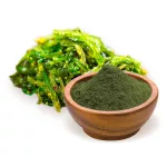 BioMenü BIO SPIRULINA ALGA por 250 g