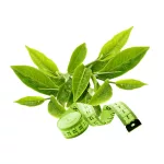 Caleido GreenSlim Zöld Tea kapszula 90 db