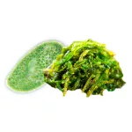 BioMenü BIO CHLORELLA és SPIRULINA ALGA kapszula 60 db