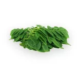 BioMenü BIO MORINGA kapszula 60 db