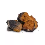 BioMenü BIO CHAGA gomba kapszula 60 db