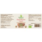 BioMenü BIO GANODERMA gomba kapszula 60 db