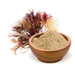 BioMenü BIO ÍR MOSZAT por 125 g