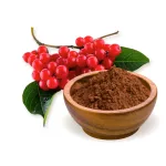 BioMenü BIO SCHIZANDRA por 125 g
