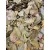 Paleolit Babérlevél egész 1kg Bay leaves whole (laurel)