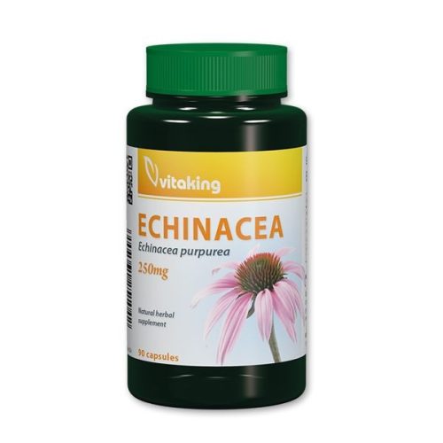 Vitaking Echinacea 250mg Bíbor kasvirág (90) ct